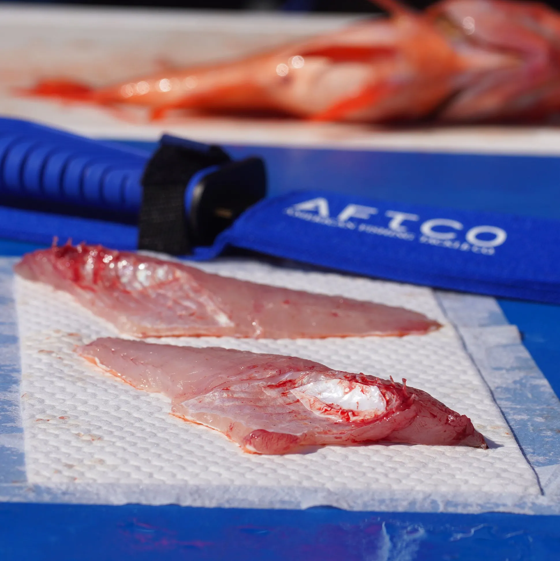 Absorbent Pads Fish Fillet Care