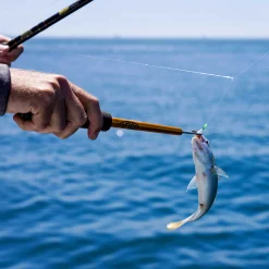 AFTCO Bait Hook Remover | Bait Fish Dehooker