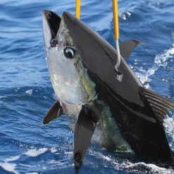 Aluminum Fishing Gaff | AFTCO