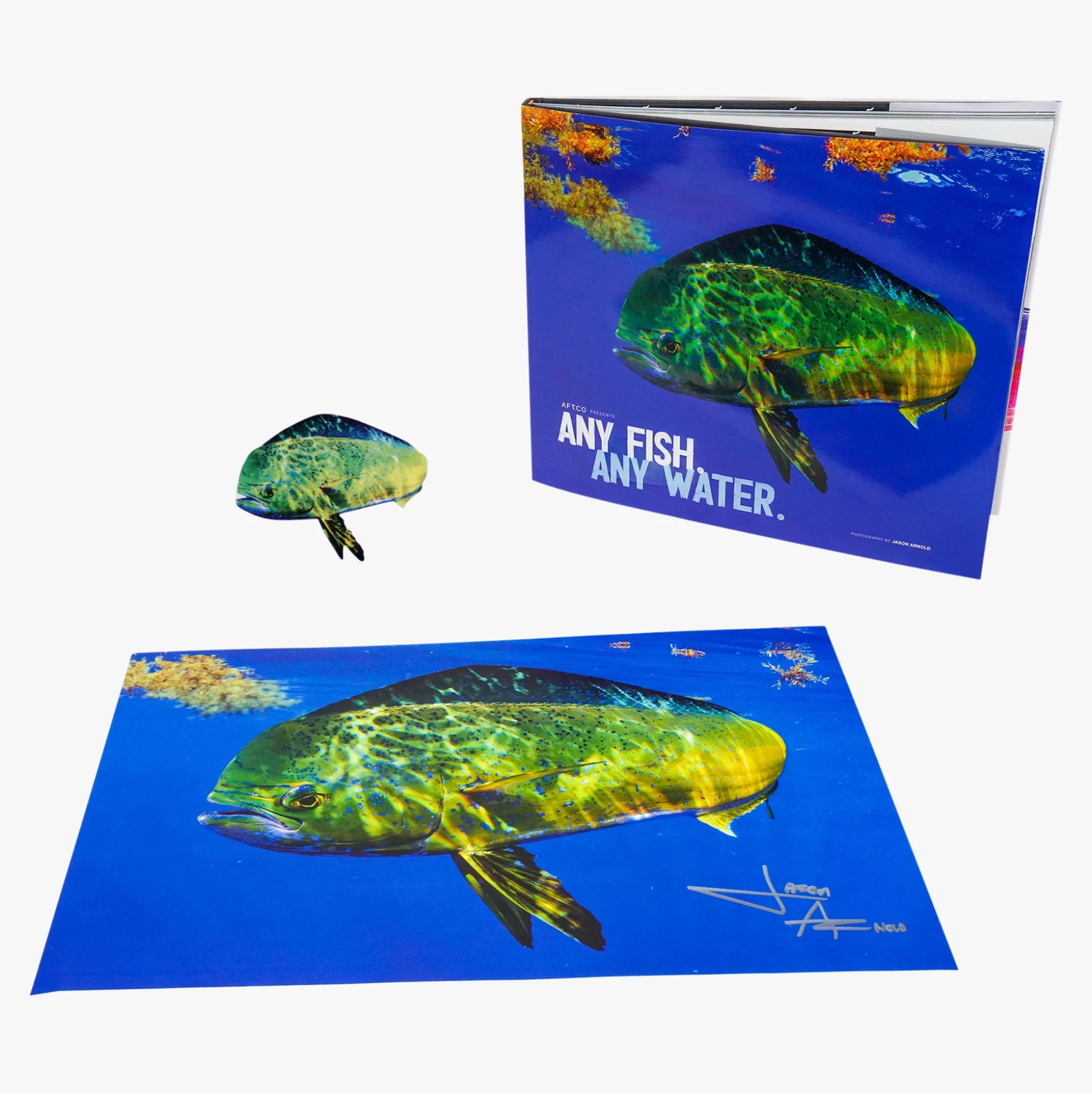 Any Fish, Any Water Book Photographed by Jason Arnold